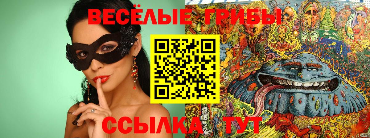 Псилоцибиновые грибы Psilocybine cubensis Керчь
