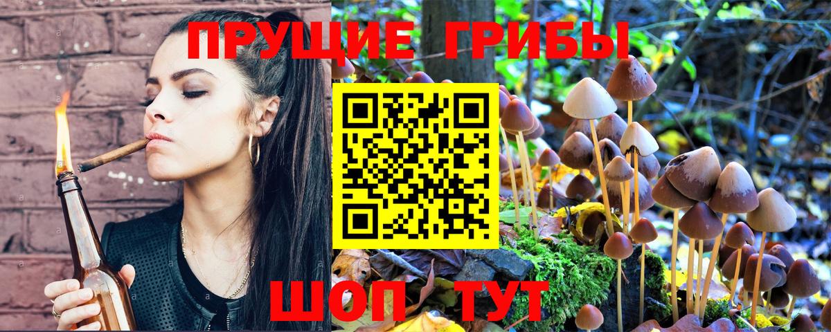 Псилоцибиновые грибы Cubensis  где купить наркотик  Керчь  Вход с VPN 