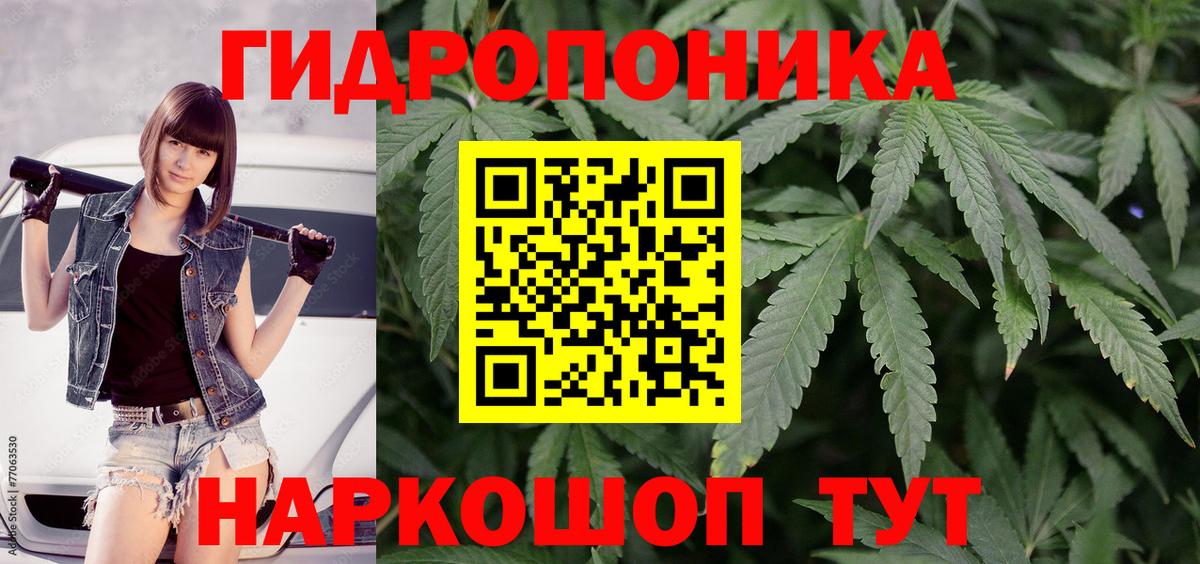 Конопля ГИДРОПОН  Вход с VPN  Керчь  Марихуана THC 21%  Бошки Шишки Amnesia 